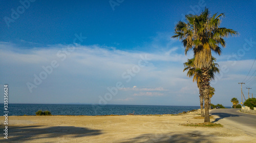 Lonely palm tree on a beautiful greek coastline with blue sea and a bit cloudy sky
