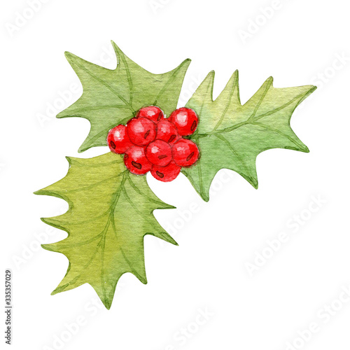 Watercolor of Ilex or holly isolated on white. Color, hand drawn. Festive elements for restaurant and cafe menu.