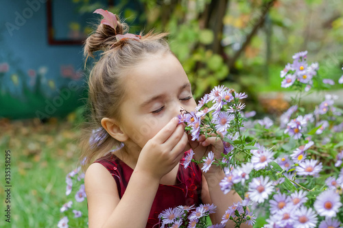 a beautiful girl in a red dress sniffs purple flowers. in the middle of a blooming garden.