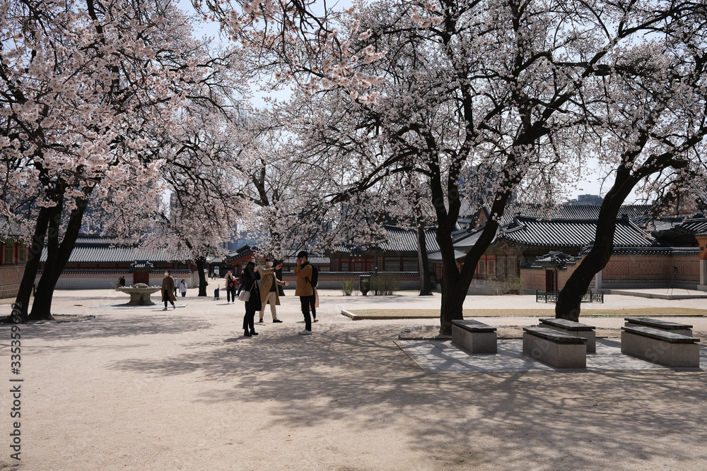 Kyeongbokgung Palace (Main Royal Palace of Joseon Dynasty) and its architectural patterns Kyeongbokgung Palace (Main Royal Palace of Joseon Dynasty) and its architectural patterns