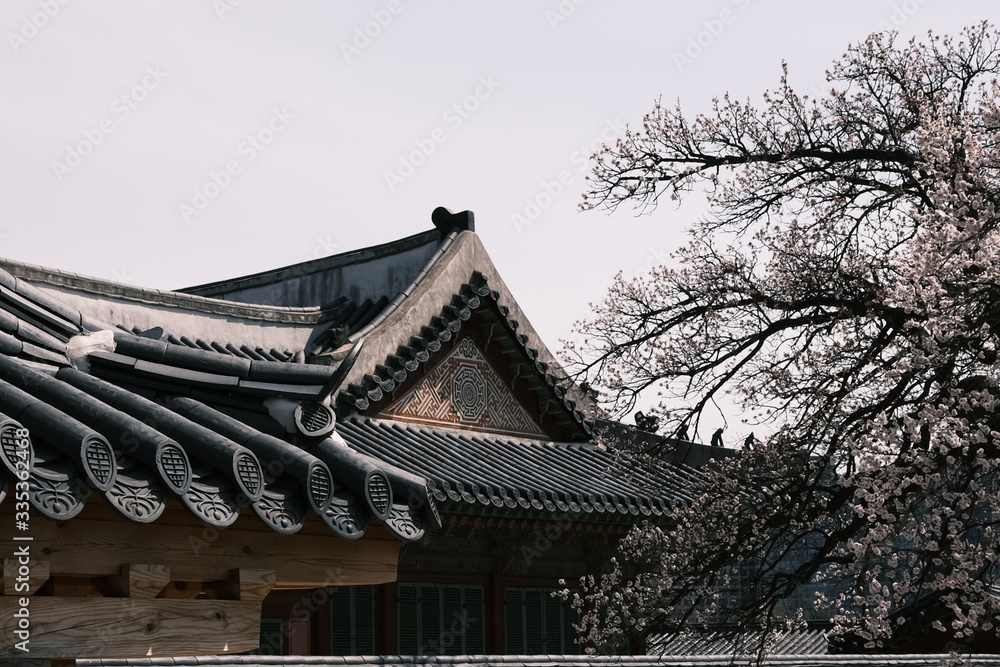 Kyeongbokgung Palace (Main Royal Palace of Joseon Dynasty) and its architectural patterns
