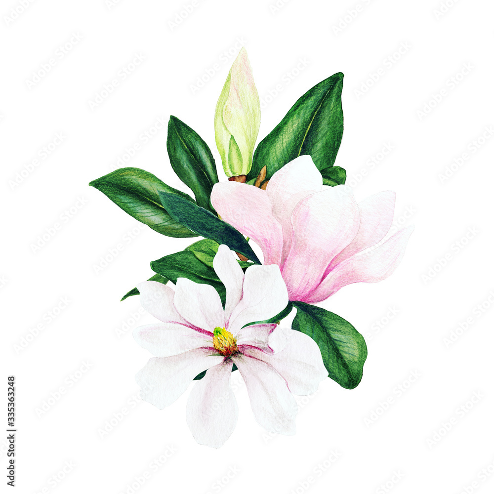 Magnolia and leaves, bright watercolor bouquet, hand drawn Magnolia and leaves, bright watercolor bouquet, hand drawn