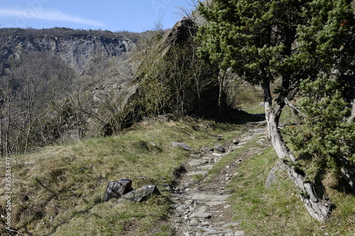 Path of Novalesa in the nature