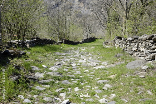 Path of Novalesa in the nature photo