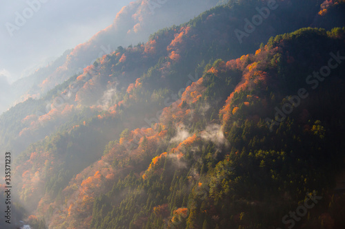 Fototapeta Naklejka Na Ścianę i Meble -  Beautiful landscape of iya valley shikoku Japan