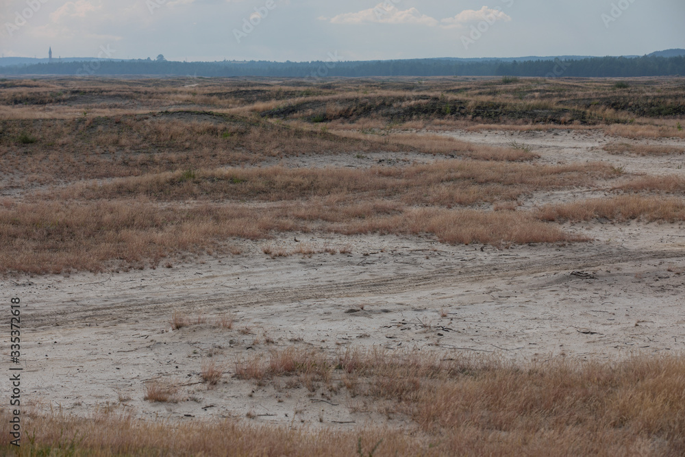 Bledow Desert  area of sands on the Silesia Highlands