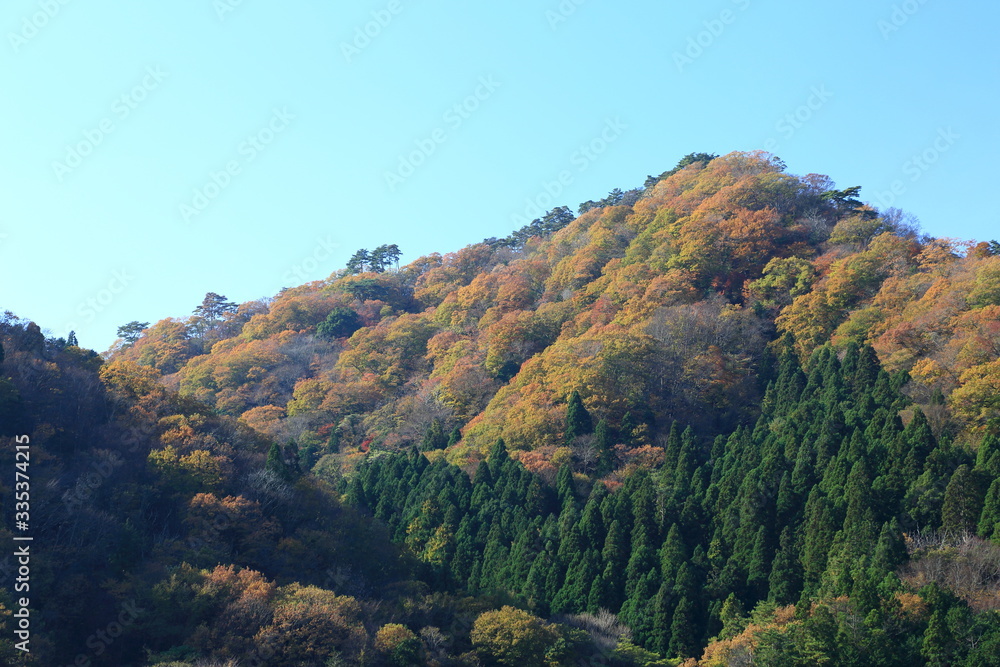 Beautiful colored leaves in Hananuki Gorge, Ibaraki JAPAN
