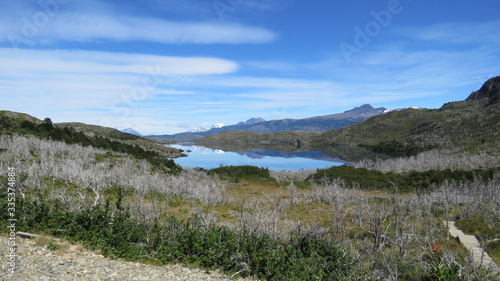 Torres del Paine, Patagonia, Chile: Forest and mountain view at lake Sköttsberg