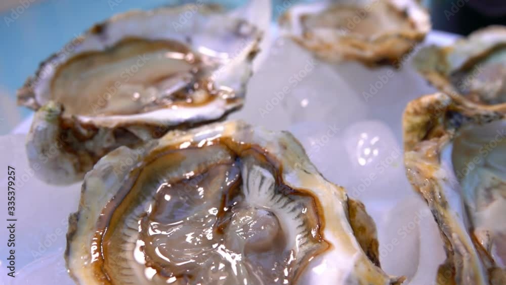 Closeup of fresh delicious oysters on a white plate on the ice Closeup of fresh delicious oysters on a white plate on the ice