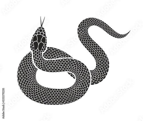 Snake logo. Isolated snake on white background