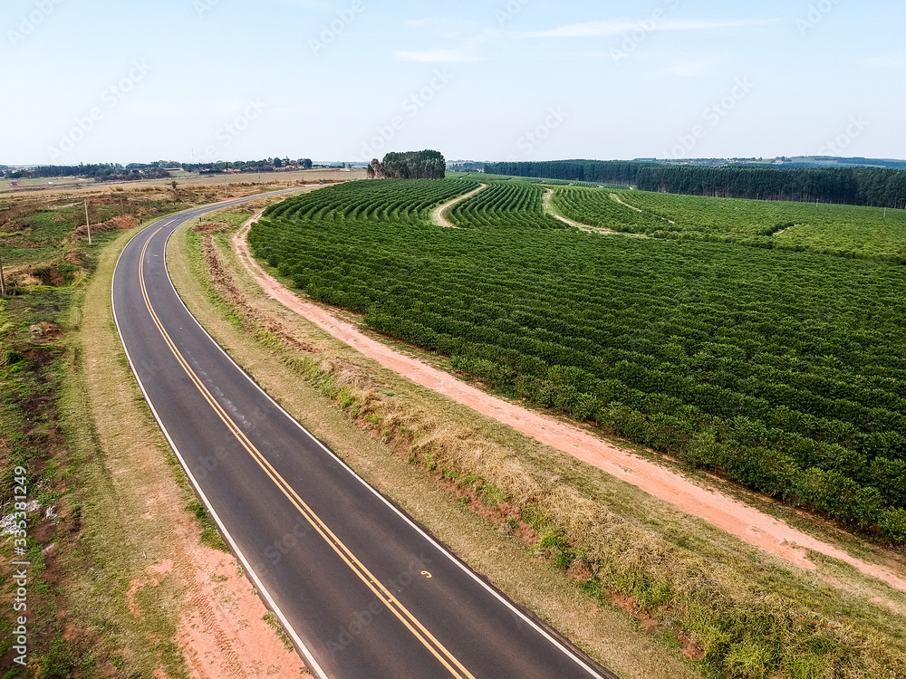 aerial view of coffee plantation field and coutry road in Sao Paulo State, Brazil