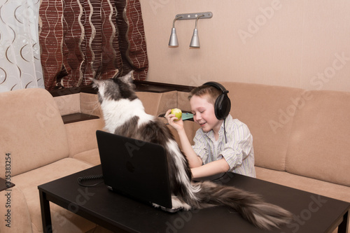 a 6-7-year-old boy and a Maine Coon cat sit at a table on the sofa and watch a video lesson on a laptop. Home distance learning online. Quarantine.
