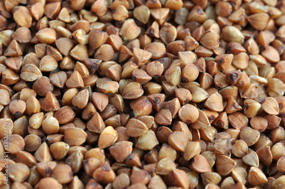 Background of dried buckwheat. Background of dried buckwheat.