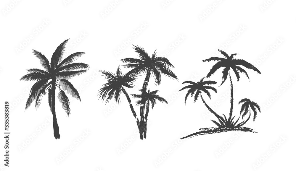 Palms Trees Pack. Coconut Trees Silhouettes, Vector Palms Trees Pack. Coconut Trees Silhouettes, Vector