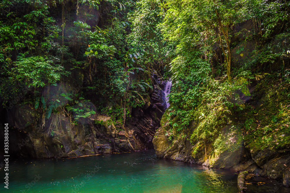 waterfall in the jungle waterfall in the jungle
