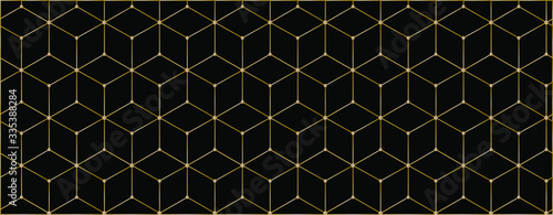 Abstract geometric background, vector illustration.
 hexagon lines pattern for banner or cover. Honeycomb cube shapes mosaic