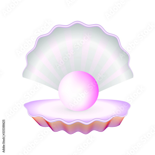 Realistic Detailed 3d Natural Open Shell with Pearl. Mother of pearl shining in open shell of freshwater Isolated on White Background Treasure of Sea. Vector illustration of Natural Jewel.
