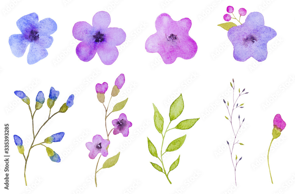 Obraz premium Set of flowers elements. Hand drawn watercolor illustration 