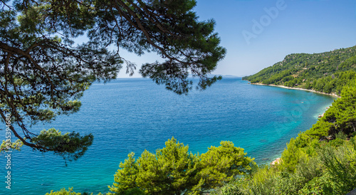 Paisaje idílico enmarcado en verde en la costa croata, en verano de 2019