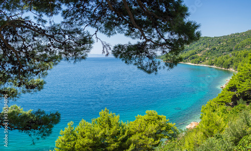 Paisaje id  lico enmarcado en verde en la costa croata  en verano de 2019
