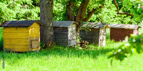 group of wooden hives standing in row on meadow