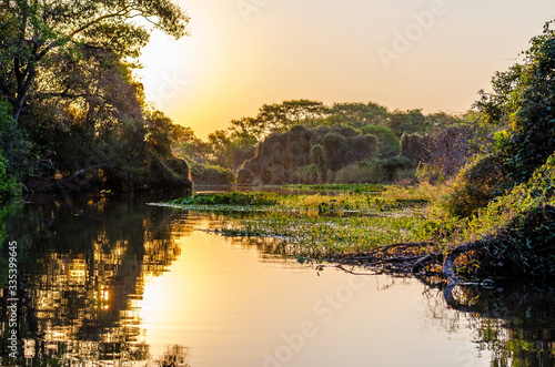 Pantanal landscape photo