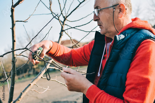 Adult man with shears in hand pruning tree branches in early spring.
