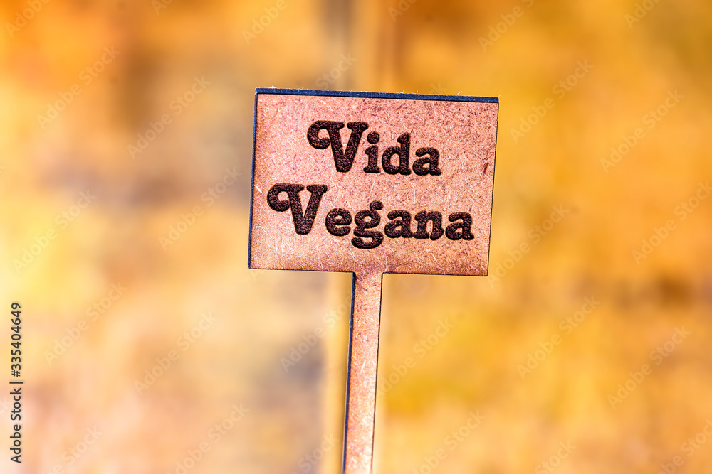 wooden sign written vegan life on defocused rustic background with organic food