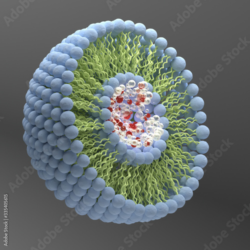 Structure of liposome, phospholipid, micelle, 3d render 