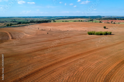 aerial view of baby peanut plant on field in Brazil