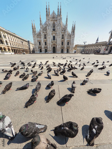 Milano - Italy: Piazza Duomo desolata invasa da piccioni durante la quarantena per il virus Civid-19. photo