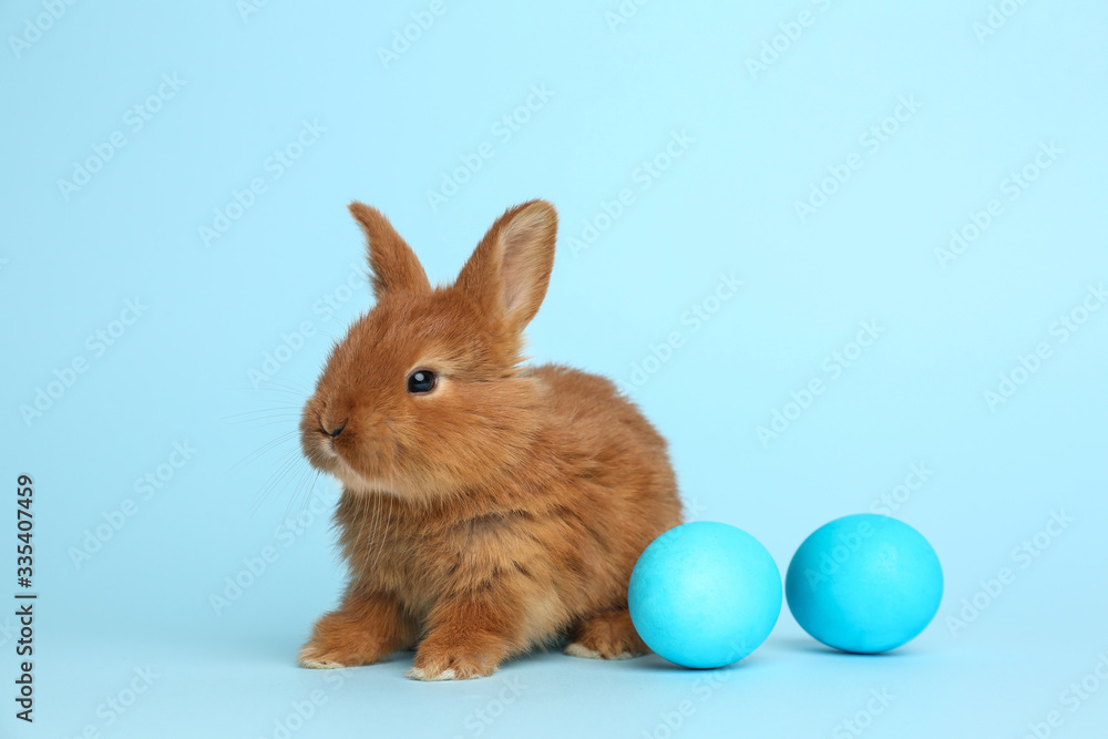Adorable fluffy bunny near Easter eggs on light blue background Adorable fluffy bunny near Easter eggs on light blue background
