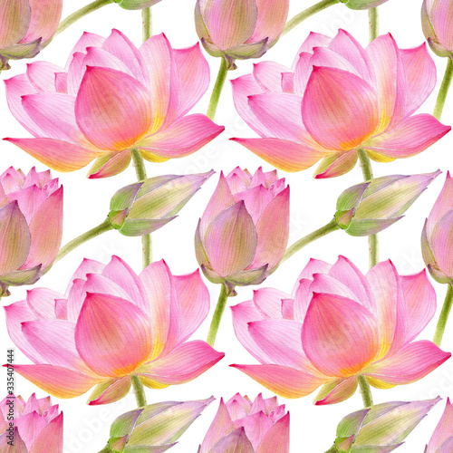 Lotus watercolor illustraton isolated on white background. Seamless pattern with colorful lotuses.