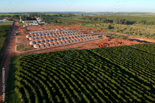 Aerial view of construction site of standardized popular houses, surrounded by a coffee plantation of the State of Sao Paulo,