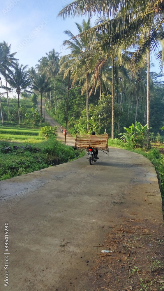 a woman is riding a motorcycle on a village road in the morning