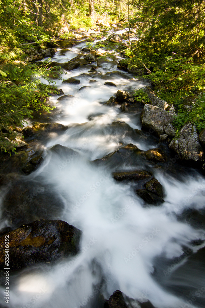 stream in motion in the forest