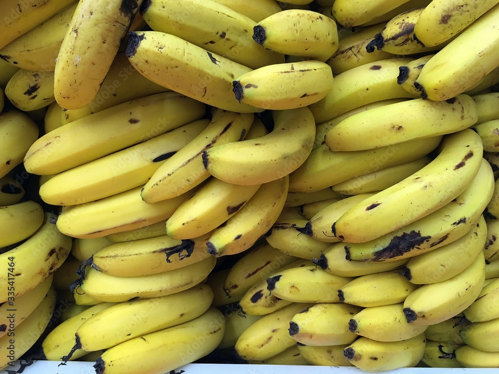 The silver type banana can be identified because it is smaller than the dwarf, for example. In addition, the silver banana is straighter than the nanica, which has a whiter pulp and is sweeter.