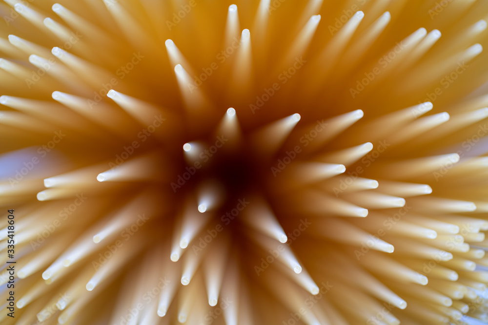 Abstract shot of dried spaghetti pasta Abstract shot of dried spaghetti pasta