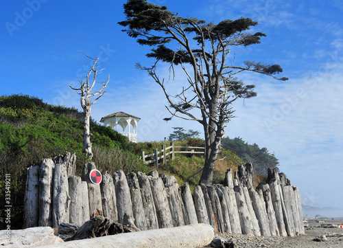 Kalaloch Beach At Olympic National Park Washington