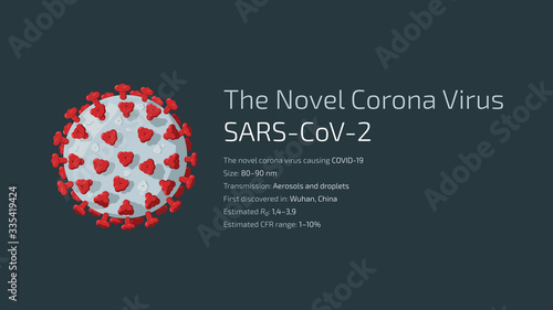 Detailed flat vector illustration of The Novel Corona Virus SARS-CoV-2, the virus causing COVID-19. Feel free to also use only parts of the illustration.