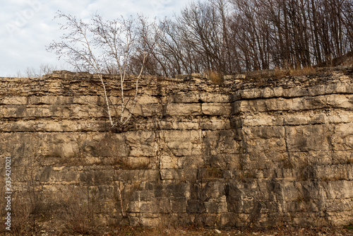 Niagara Escarpment dolomite  Silurian outcrops  High Cliff State Park  WI.