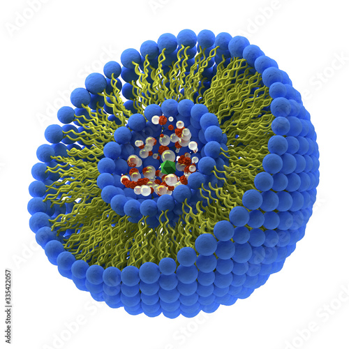 Structure of liposome, phospholipid, micelle, 3d render illustration