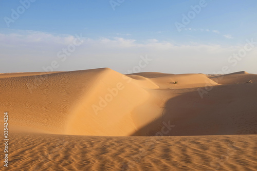 Desert Sand Dunes of Erg Amatlich around Chinguetti, Mauritania