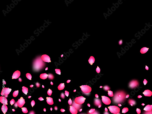 Rosy admirable petals falling over black background. Apricot spring tree blossom parts confetti. Flower petals vector illustration for Valentine's Day. Floral design.