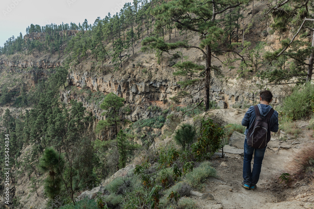 A young man with a backpack travels along a route in the west side of Tenerife. Hiking by the mountain trail surrounded by endemic vegetation pine tree forest and fields of lava rocks. Canary Islands A young man with a backpack travels along a route in the west side of Tenerife. Hiking by the mountain trail surrounded by endemic vegetation pine tree forest and fields of lava rocks. Canary Islands