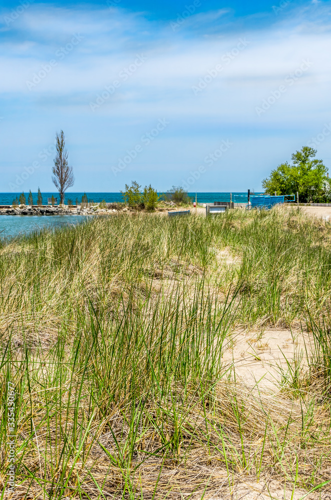Summer, long path-way to the beach through the long grass and over the sand dune Summer, long path-way to the beach through the long grass and over the sand dune