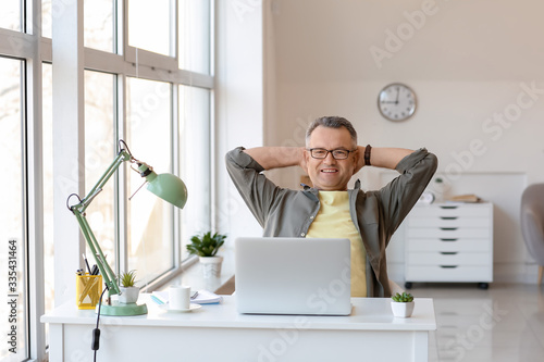 Mature man with laptop sitt...