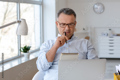 Mature man using laptop at ...