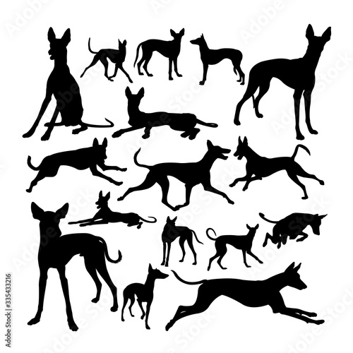 Ibizan hound dog animal silhouettes. Good use for symbol, logo, web icon, mascot, sign, or any design you want.