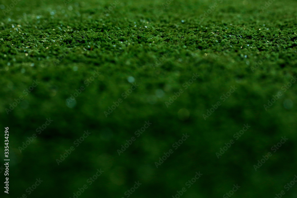 Naklejka premium Lawn grass
